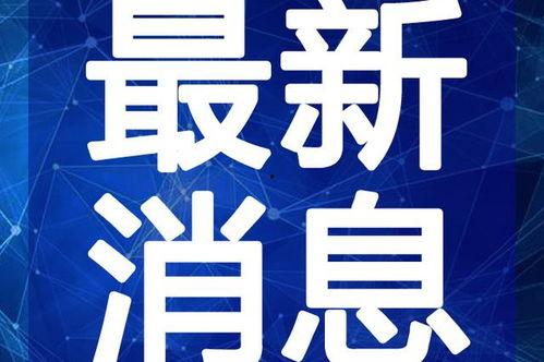 广东大排档爆料视频最新,最新爆料视频带你领略地道风味