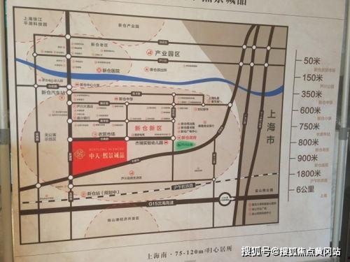 杞县本地人爆料案件最新,真相背后,疑云重重!