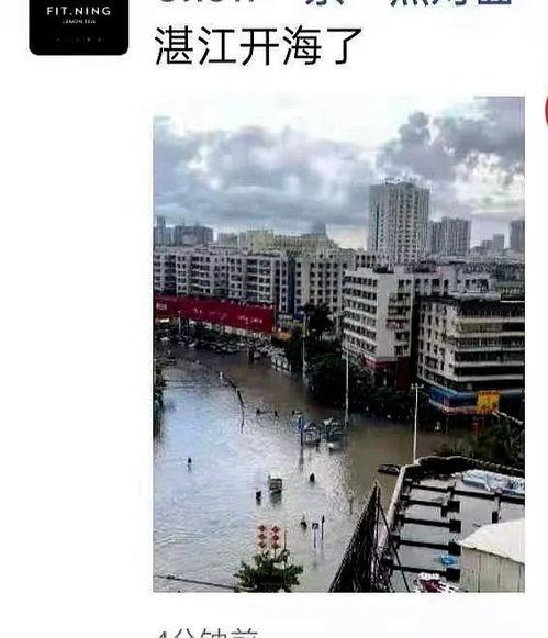 湛江市民爆料最新,惊现神秘事件,真相令人震惊!