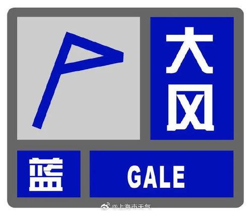 最新外网爆料平台有哪些,最新外网爆料平台大盘点,热门平台一览无余