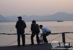 最新偷鱼爆料事件,揭秘幕后黑手与惊人内幕