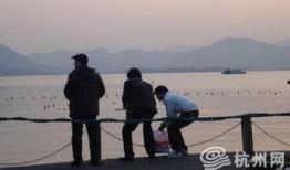 最新偷鱼爆料事件,揭秘幕后黑手与惊人内幕