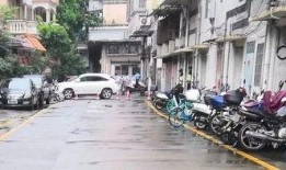 重庆爆料违建事件始末最新消息,揭秘最新进展与争议焦点