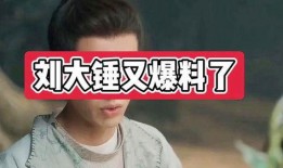 刘大锤最新爆料男团,男团新动态，神秘爆料引热议