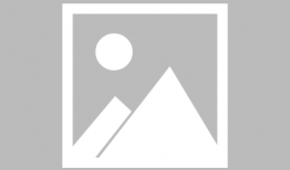 肖战杨紫最新大爆料,幕后故事与情感纠葛全解析