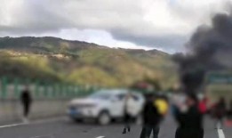 绵阳最新凯厦砍树爆料事件,校园绿化遭破坏，引发社会关注