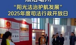 法治头条爆料案例最新,最新案例揭秘，法律的力量守护公平正义