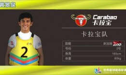 超能世界最新爆料阵容,神秘超能者集结，巅峰对决即将开启！