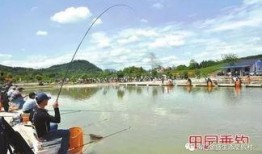 爆料如皋钓鱼视频最新版,揭秘钓鱼高手们的绝技与技巧