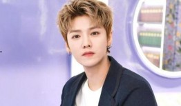 最新爆料顶流男星,从爆红到巅峰的蜕变之路