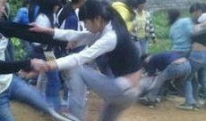 宾阳最新新闻爆料炮竹,传承与创新交织的烟火盛宴