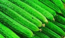 网红黄瓜最新爆料新闻,揭秘娱乐圈惊人内幕