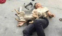 最新偷鱼爆料事件,揭秘幕后黑手与惊人内幕