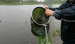 爆料如皋钓鱼视频最新版,揭秘钓鱼高手们的绝技与技巧