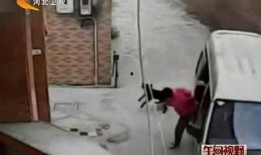 最新偷鱼爆料事件,揭秘幕后黑手与惊人内幕