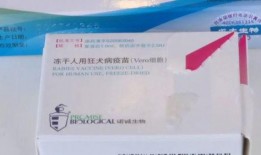 大理头条疫苗最新爆料,揭秘疫苗事件真相与进展