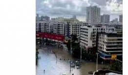 湛江市民爆料最新,惊现神秘事件，真相令人震惊！